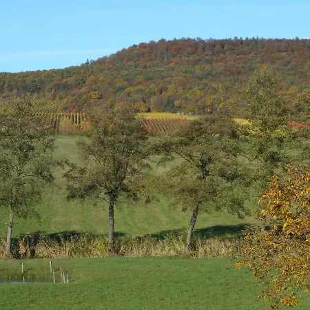 Zur Traube 3 Sterne * Oberschwarzach