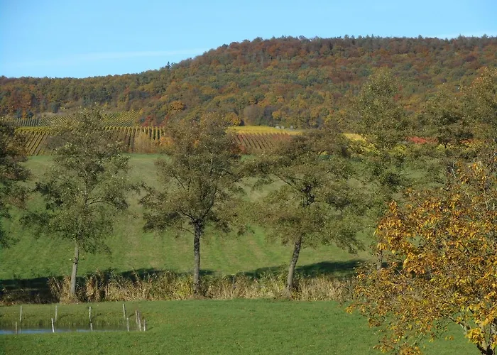 Zur Traube 3 Sterne 3* Oberschwarzach